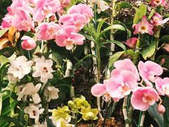 -人民公园(罗湖区)