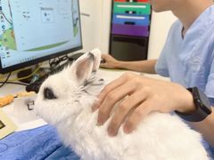 -立德异宠动物医院.兔鸟爬.内窥镜(天河店)