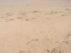 -西涌国际滨海旅游区