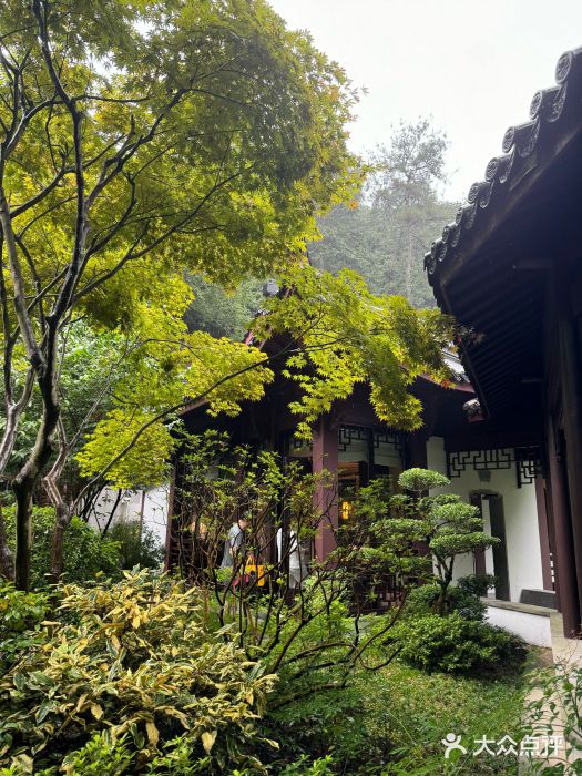 十八棵（老龙井）御茶园(老龙井店)图片