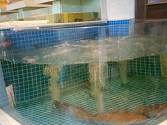 -至尊鲨鱼·原烹海鲜·新浙菜(拱宸桥店)