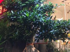 -万卉源鲜花店(百尚生活广场店)