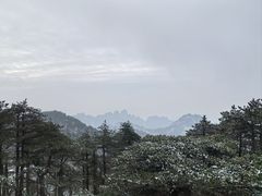 -黄山白云宾馆