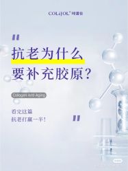 -玛莲朵·海菲秀冰珀科