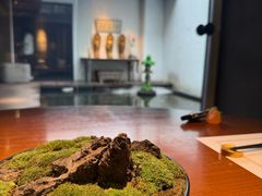 -觀芷隐轩