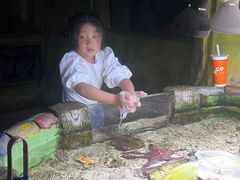 -嘉兴海底世界