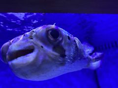 -多彩贵州城极地海洋世界