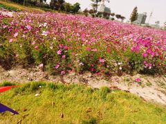 -歌斐颂巧克力小镇