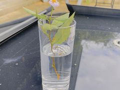 -宁波五龙潭景区