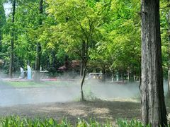 -东平国家森林公园