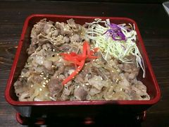 -春草居酒屋·晴子の店