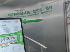 -爱侣宠医·鹦鹉专科·小型哺乳类·异宠专科(灵石路店)