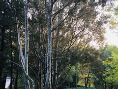 -长辛店二七公园