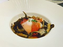 -蝶舍·MAISON PAPILLON