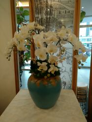 -派恩宜灰指甲鸡眼嵌甲手足癣