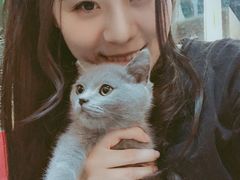 -Goku PET SHOP宠物视觉生活馆(双井店)