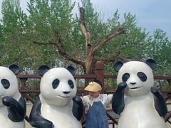 -西安秦岭野生动物园