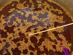 -徐妹串串香(春熙路店)