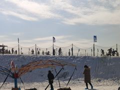-金沙湖旅游度假区