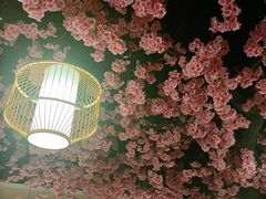 -九田家黑牛烤肉料理·自助(洪洞县城市花园店)