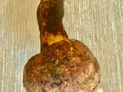 -锦腾轩滇味餐厅