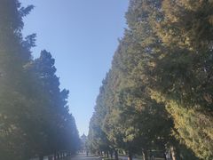 -峨嵋酒家(清河店)