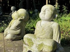 -武陵山森林公园
