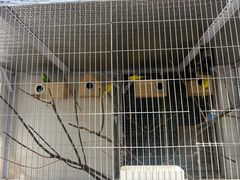 -观桥阁(锦溪店)