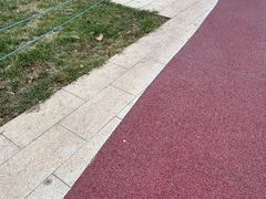 -唐城墙遗址公园