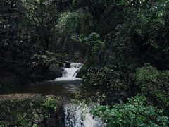 -王顺山国家森林公园