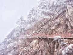 -老君山风景名胜区
