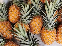 -红星农博物流中心