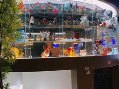 -皇室假期美食水疗会(春风路店)