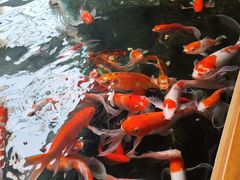 -沐泷泉(阳光店)