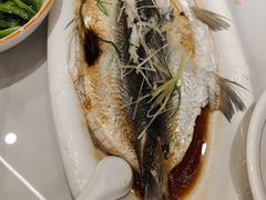 -醉美东江·三文鱼·烧鸡公