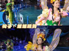 -烟台海昌鲸鲨海洋公园