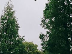 -小鱼草莓采摘园农家乐·小鱼餐厅