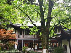 -十八棵（老龙井）御茶园(老龙井店)