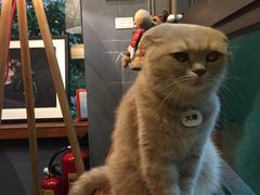 -咖法森林·咖啡  酒吧(天河店)