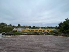 -泗洪洪泽湖湿地景区