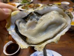 -四季美蚝皇