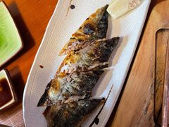 盐烤青花鱼-鳗鱼家·深夜食堂(军博店)