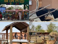 -祥源·阜阳生态乐园