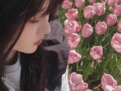 -石家庄市植物园