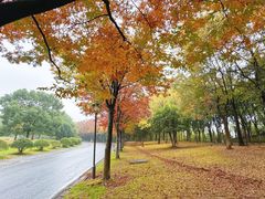 -南京市江宁方山