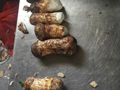 -蘑统田下·野生菌火锅