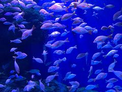 -成都浩海立方海洋公园