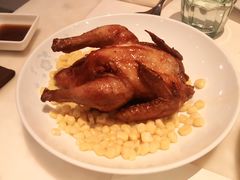 -港丽餐厅(高德置地店)