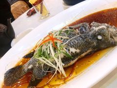 清蒸花斑鱼-桃园一品(南庄店)