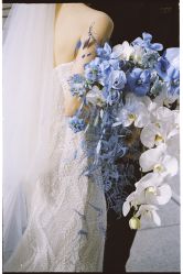 -MuseMarry婚纱(前海嘉里中心店)